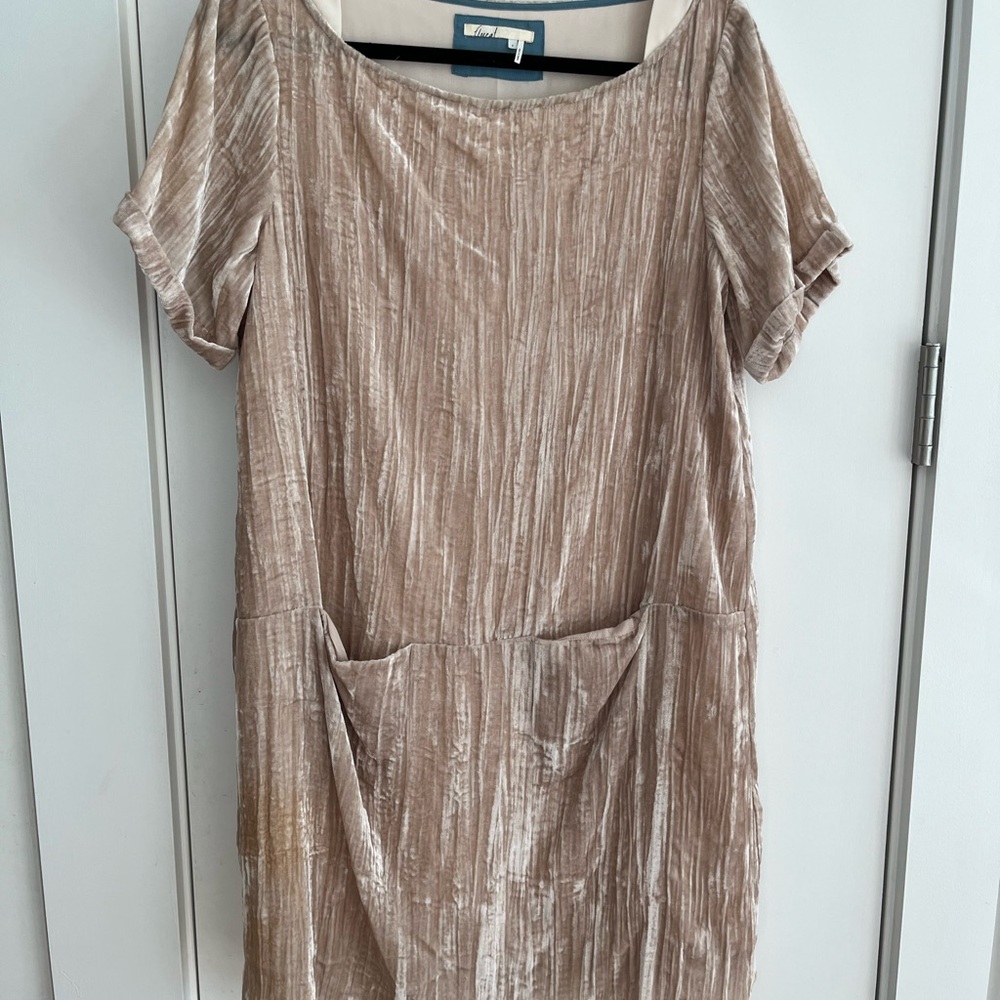 Velvet Short Sleeve Dress